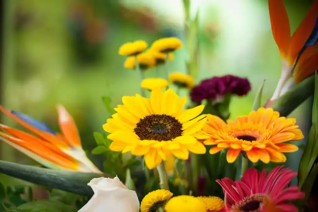 Flower Care Tip: Keep Cut Flowers Fresh