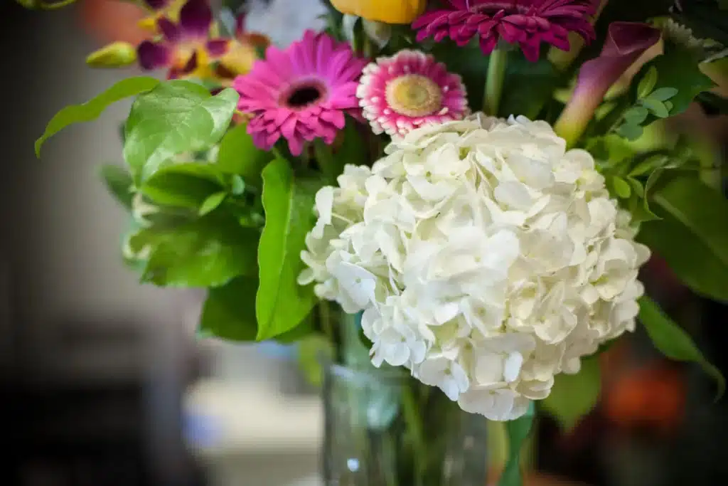 Flower Care Tip: Wash Your Vases